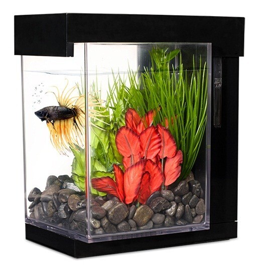 MARINA BETTA EZ CARE Style KIT 3,7 l Negro