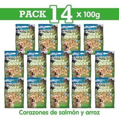 Pack 14 Corazones de salm�n y arroz 100gr