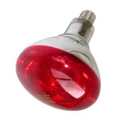 L�mpara de infrarrojosL��MPARA INFRARROJOS 250 W