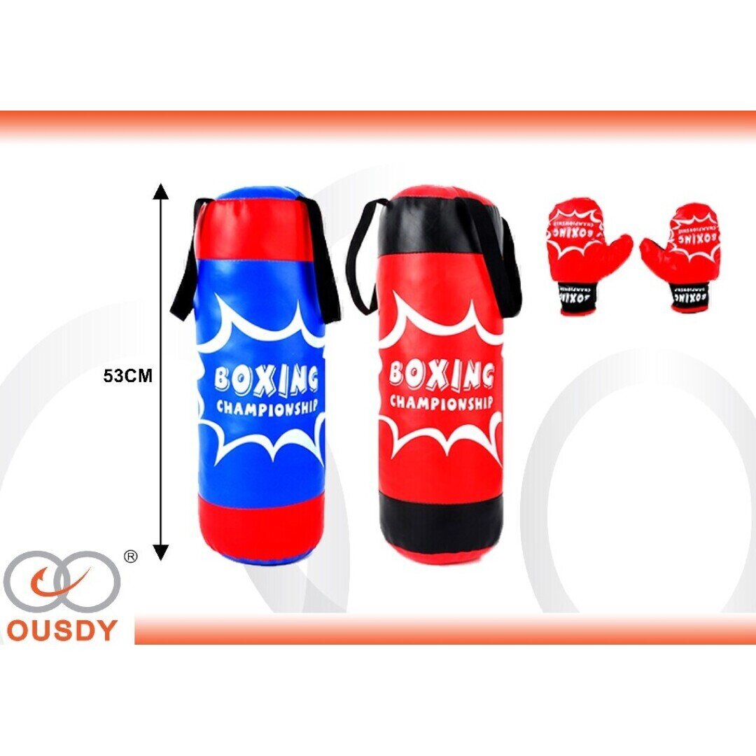 SACO DE BOXEO C-2