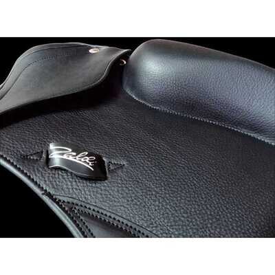 REPARACI�N SILLA LIMPIEZA Y ENGRASADO