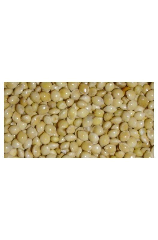 MIJO BLANCO 25 KG.