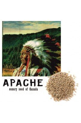 ALPISTE CANADA APACHE 1 KG.
