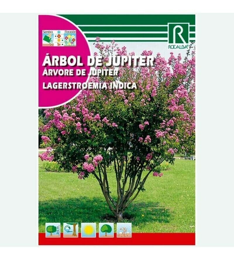 ARBOL DE JUPITER