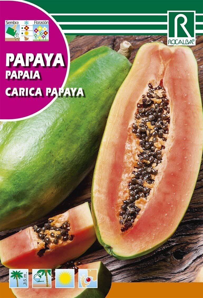 ARBOL DE PAPAYA