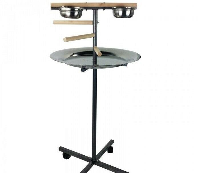 PARQUE DE LOROS Nº5