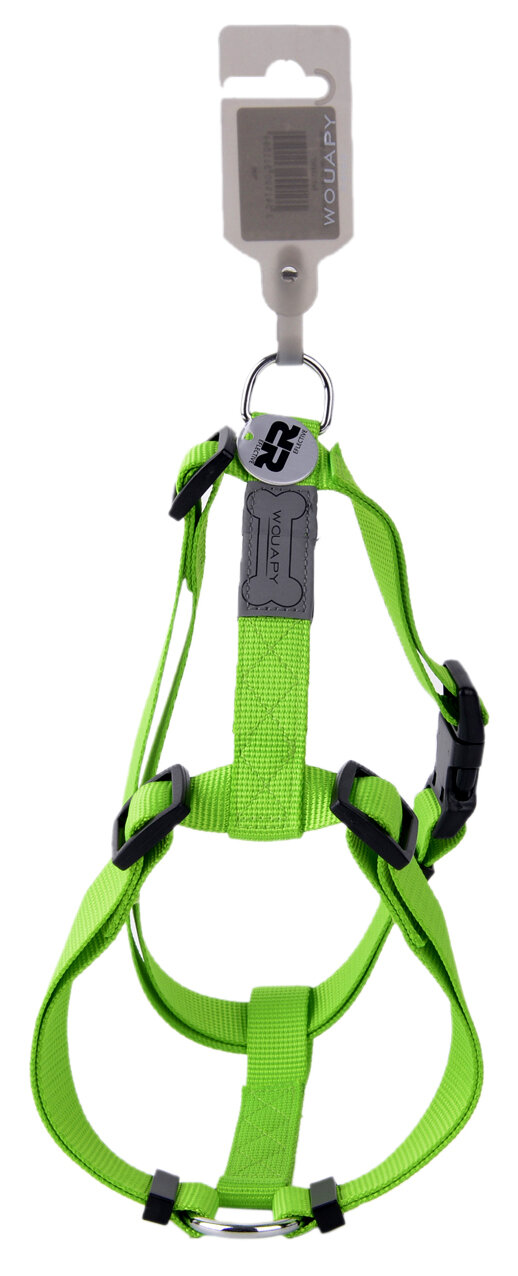 ARNES BASIC LINE VERDE