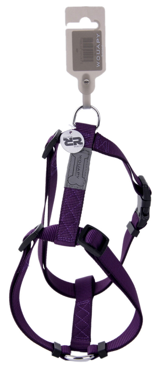 ARNES BASIC LINE VIOLETA