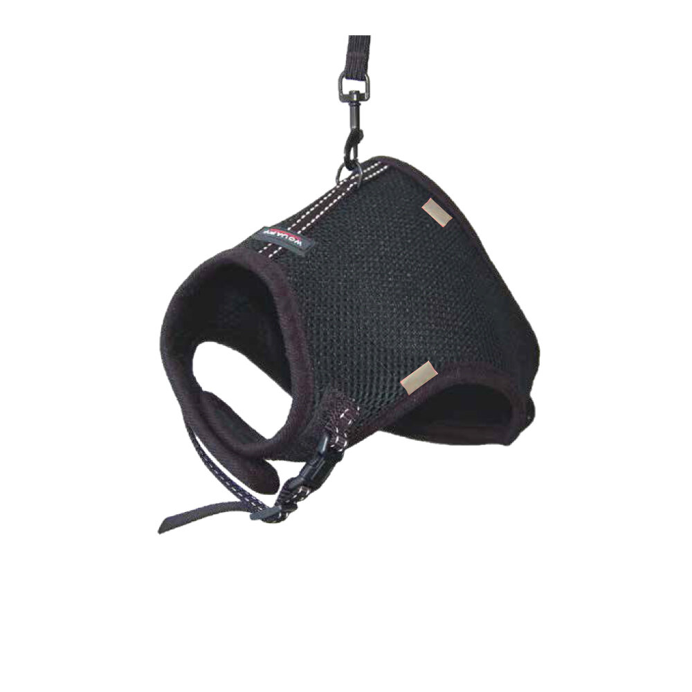 ARNES SOFT GATO NEGRO + CORREA