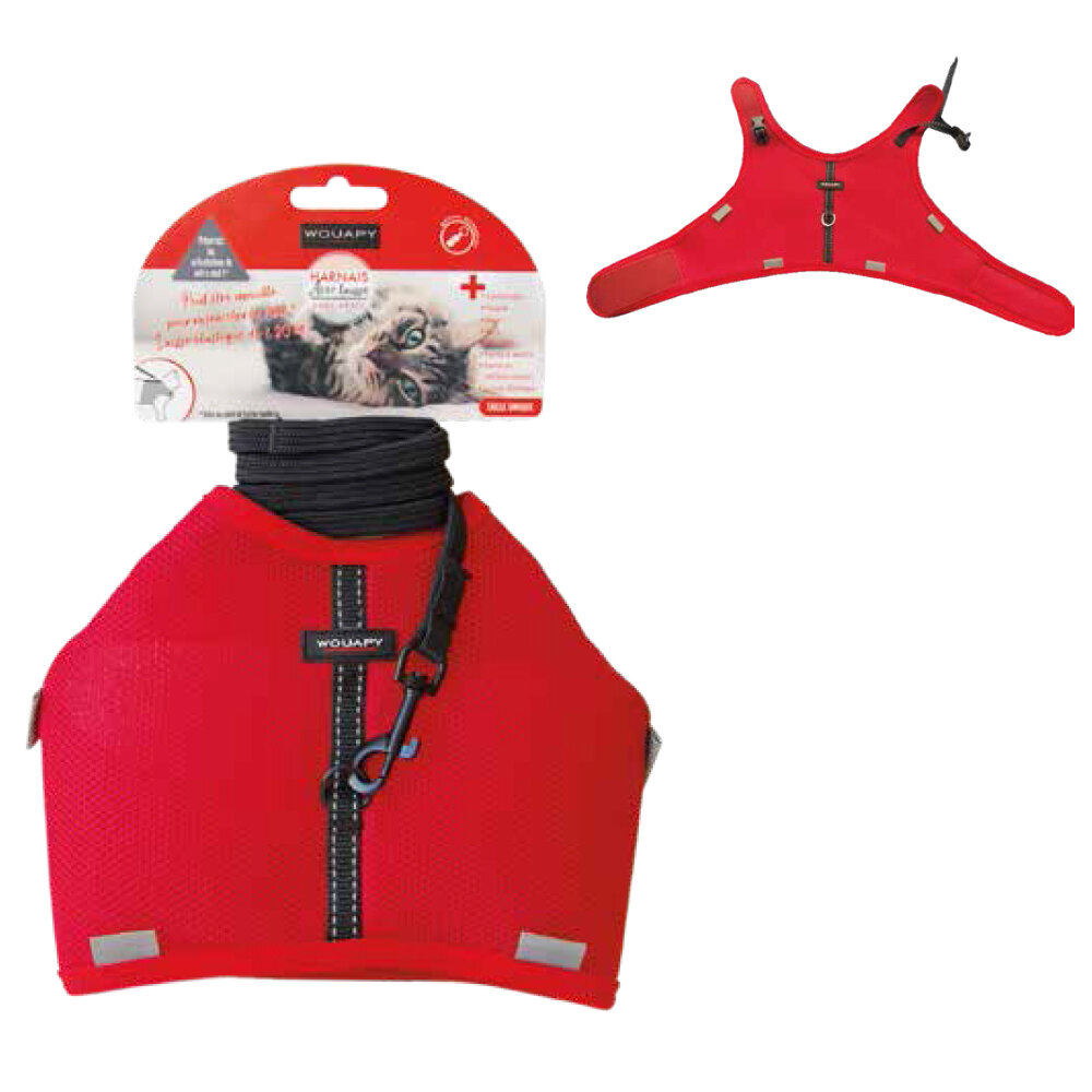 ARNES SOFT GATO ROJO + CORREA