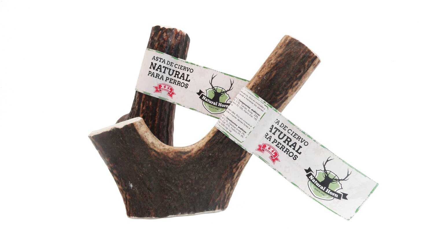 ASTA DE CIERVO NATURAL HORN TALLA XXL