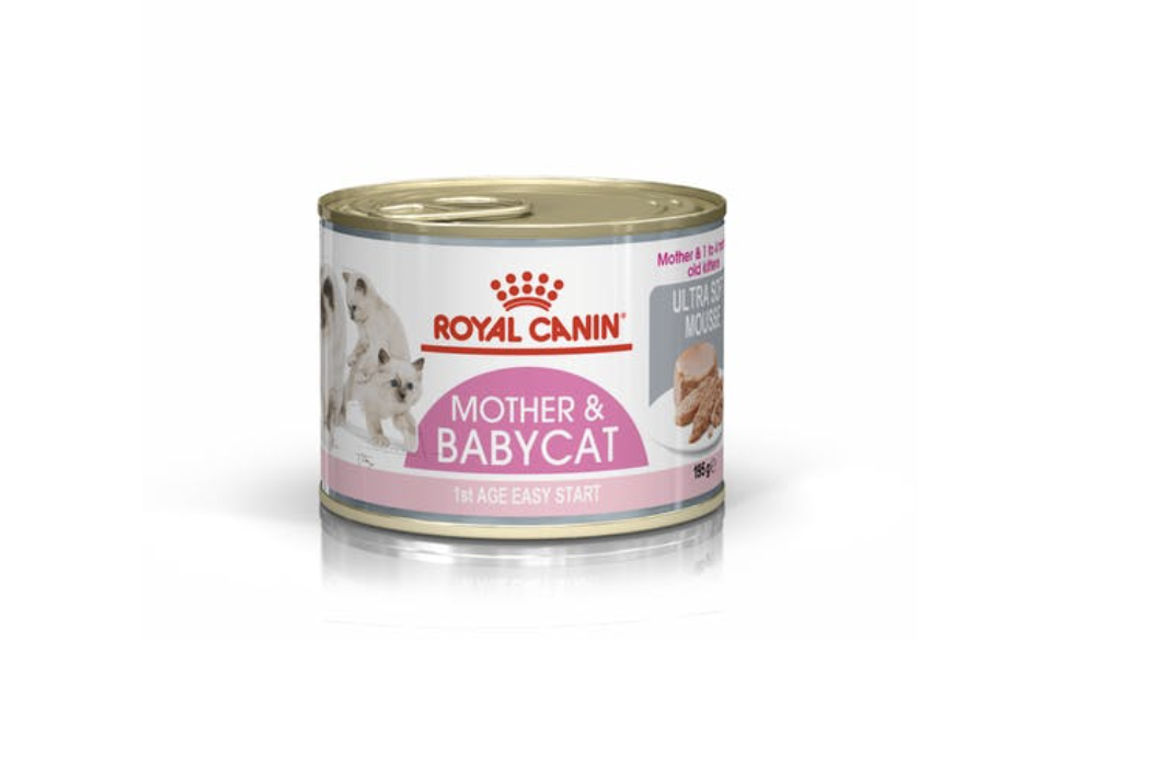 BABYCAT INSTINCTIVE (LATA) BABYCAT INSTINCTIVE (LATA)