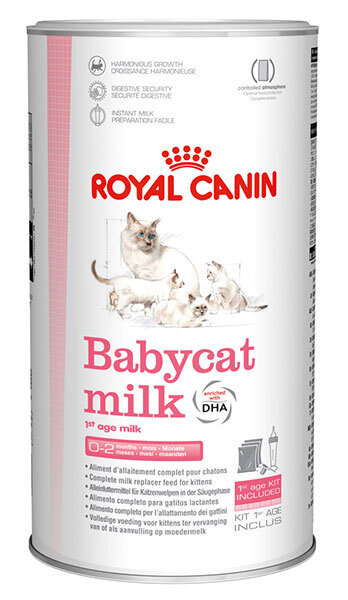 BABYCAT MILK - 1ST AGE MILK