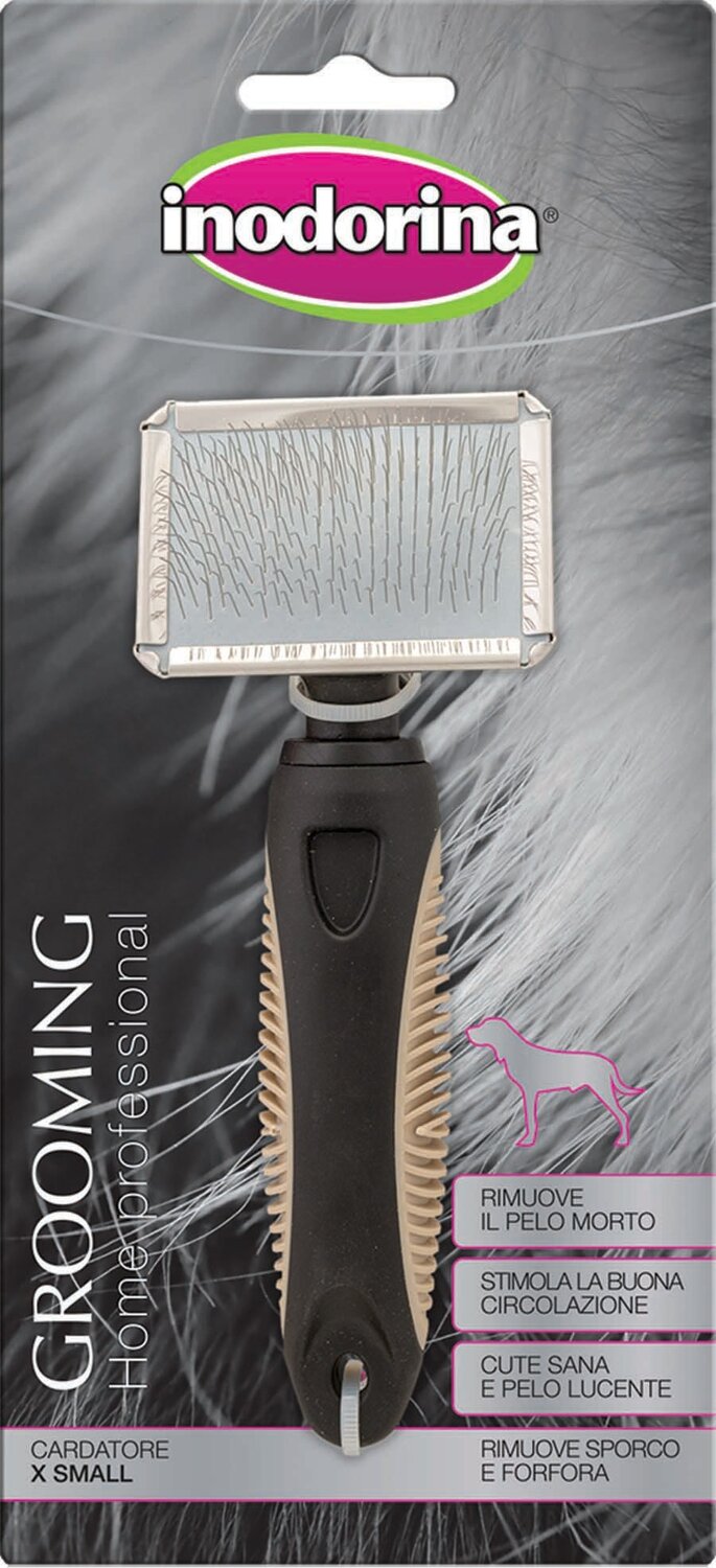 CARDA PERRO CARDA PERRO