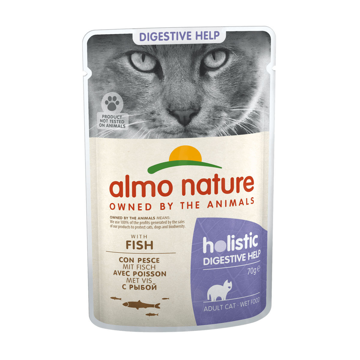 CAT WET HOLISTIC DIGESTIVE 70G DOS UNIDADES