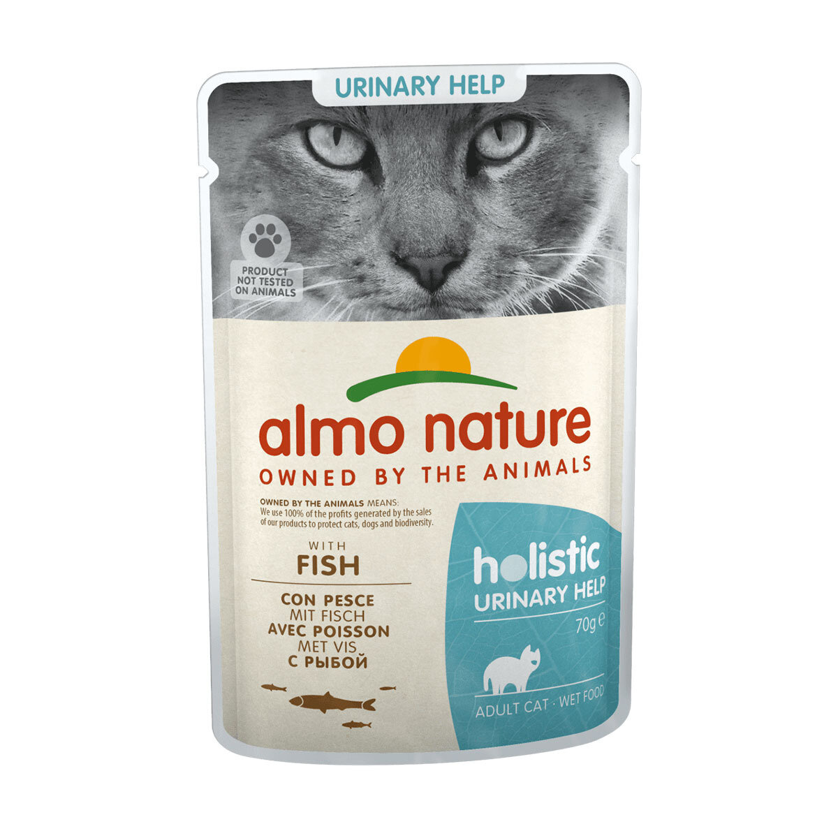 CAT WET HOLISTIC URINARY 70G DOS UNIDADES