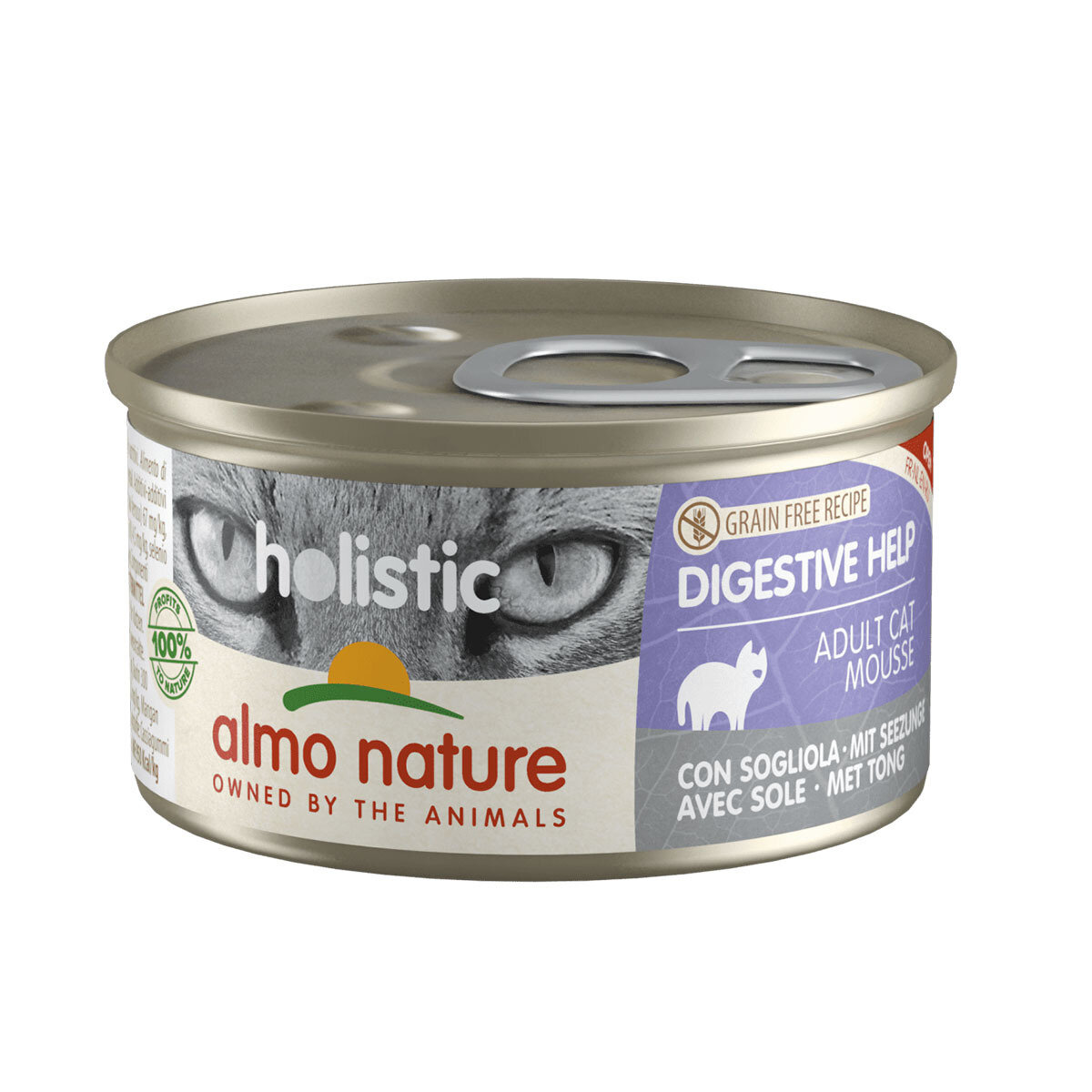 CAT WET HOLISTIC DIGESTIVE GRAIN FREE DOS UNIDADES