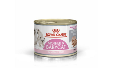 BABYCAT INSTINCTIVE (LATA)