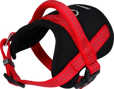 ARNES BASIC PROTECT COMFORT ROJO