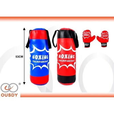 SACO DE BOXEO C-2