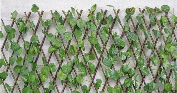 CELOS�A MIMBRE CON HOJA DECORATIVA BONERVA 1X2 METROS