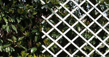 CELOSIA DE PLASTICO EXTENSIBLE BONERVA 1X2MT MARRON