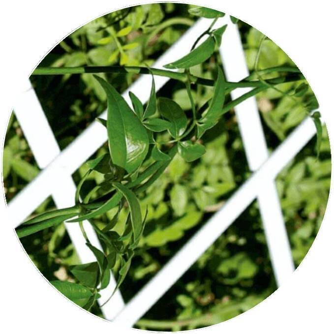 CELOSIA DE PLASTICO EXTENSIBLE BONERVA 1X2MT BLANCO CELOSIA DE PLASTICO EXTENSIBLE BONERVA 1X2MT BLANCO