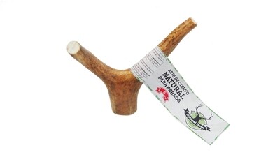 ASTA DE CIERVO NATURAL HORN TALLA S