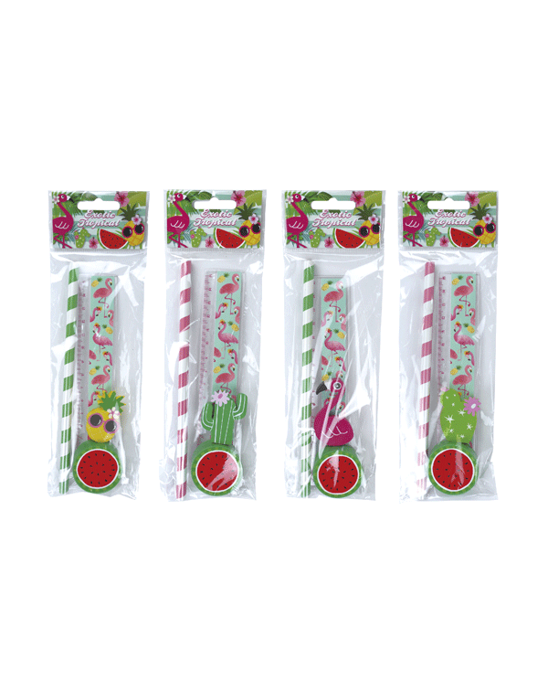 SET 4 PCS PAPELERÍA TROPICAL EXOTIC
