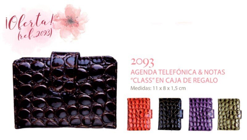 AGENDA TELEFONICA & NOTAS "CLASS" EN ESTUCHE DE RE
