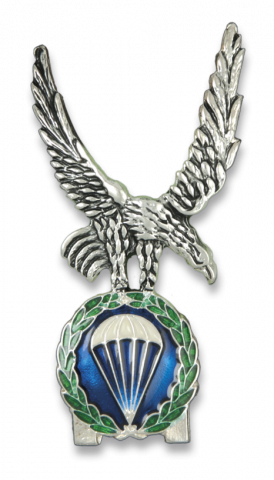 Distintivo PERMANENCIA BRIPAC