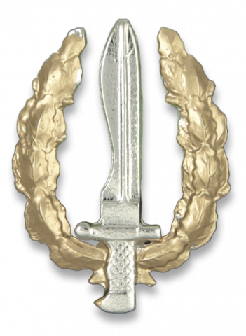 Distintivo PERMANENCIA EN OPERACIONES