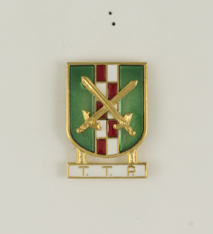 Distintivo Especialidad TTP