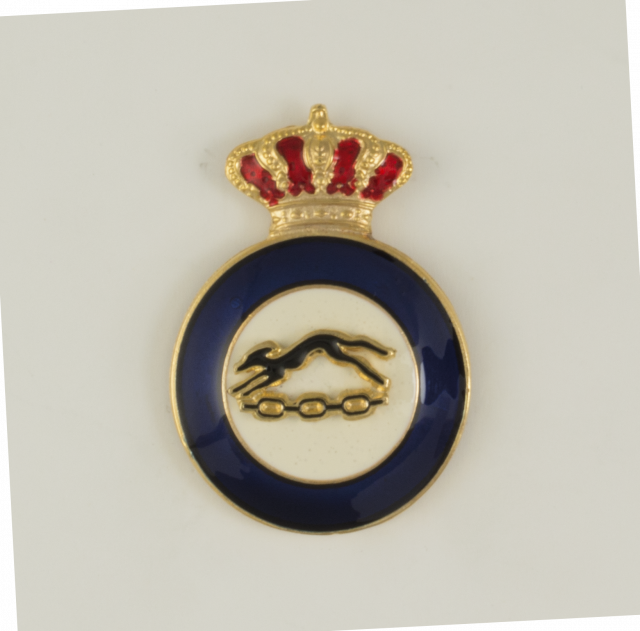 Distintivo Educacion Fisica Monitor