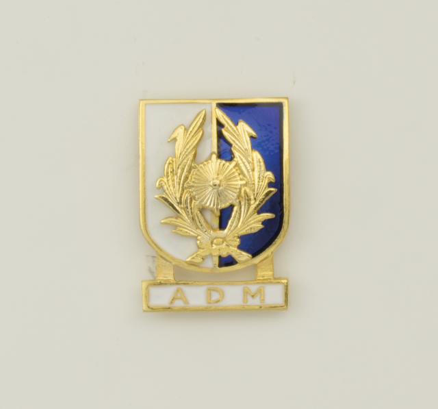 Distintivo Especialidad ADM