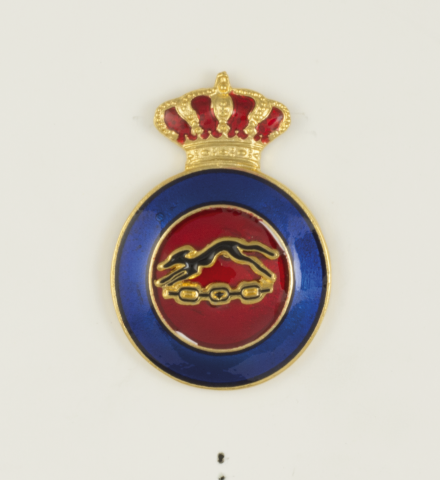 Distintivo Educacion Fisica Instructor