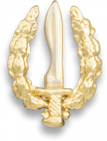 Pin pequeño emblema GOE