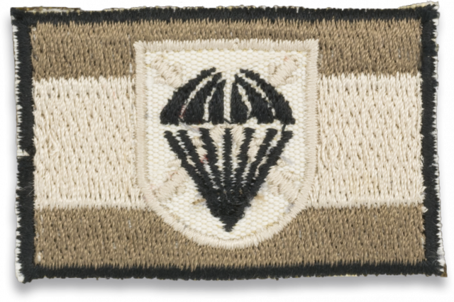 Bandera Espa�a gris con logo BRIPAC