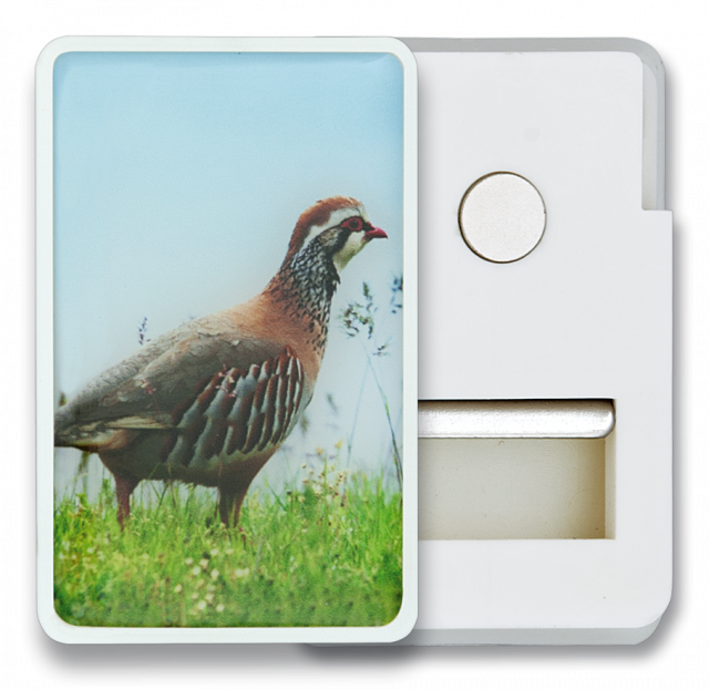 Im�n Frigo con pinza  PERDIZ