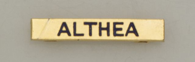 Barra mision  ALTHEA