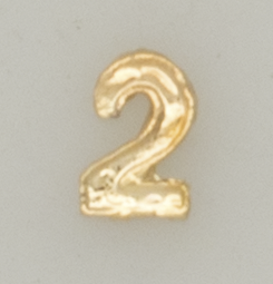 Numeral pasador diario  2 ORO