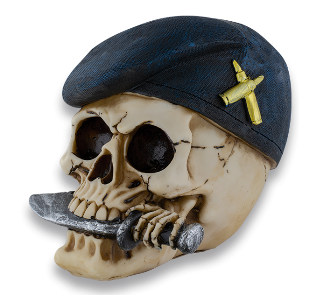 Cabeza  Resina Calavera Militar
