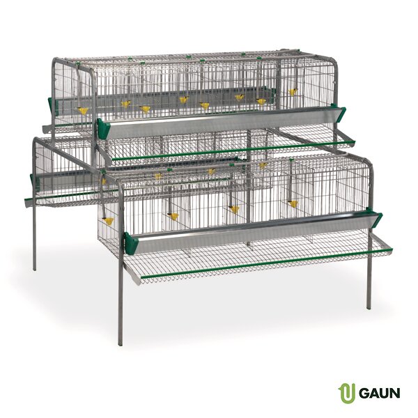 BATERIA GALLINAS 16 DPTOS. PRINCIPIO