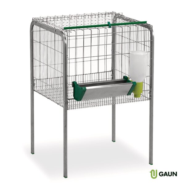 JAULA ENGORDE DE POLLOS 1 DPTO.