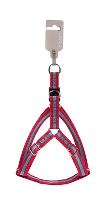 ARNES BI ONE ROJO Y AZUL