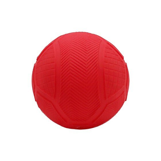 PELOTA PVC RELIEVE