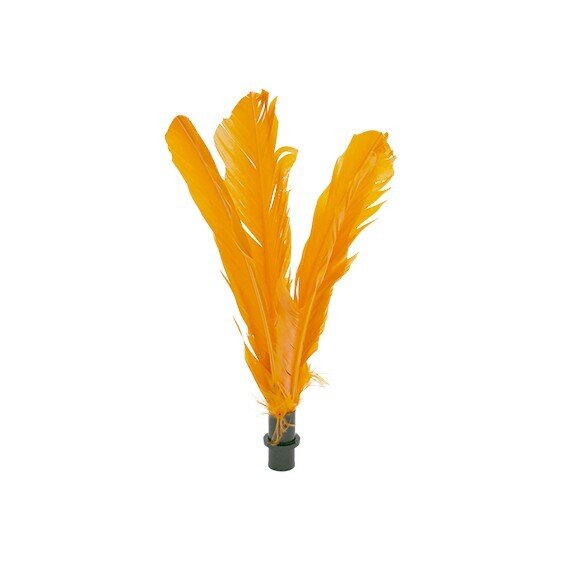 RECAMBIO PARA INDIAKAUNIDAD