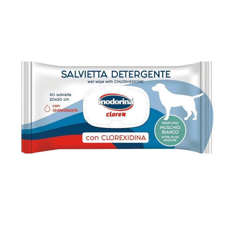 INODORINA CLOREX 40 TOALLITAS