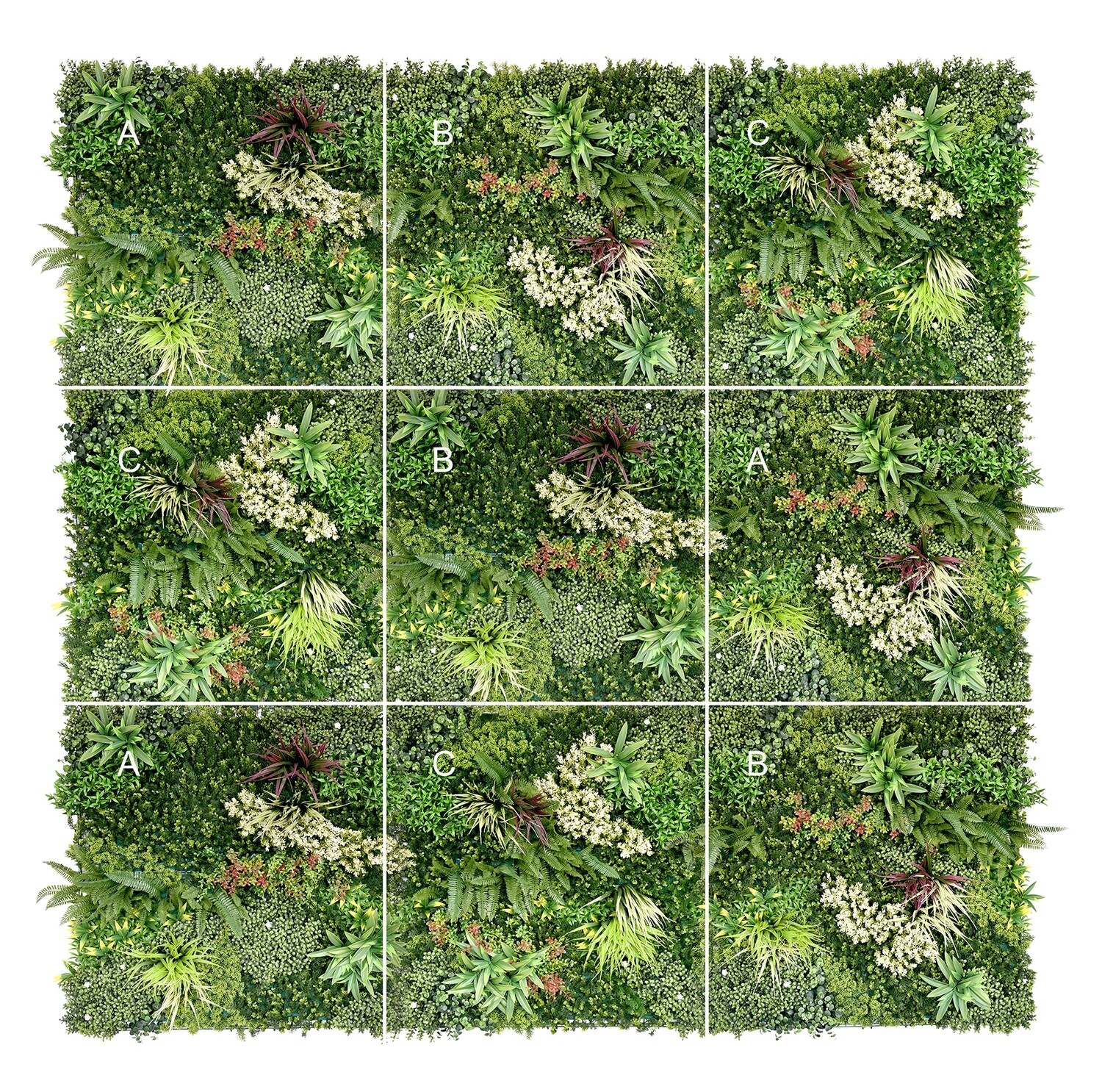 JARDIN VERTICAL  BAHAMAS
1x1 m