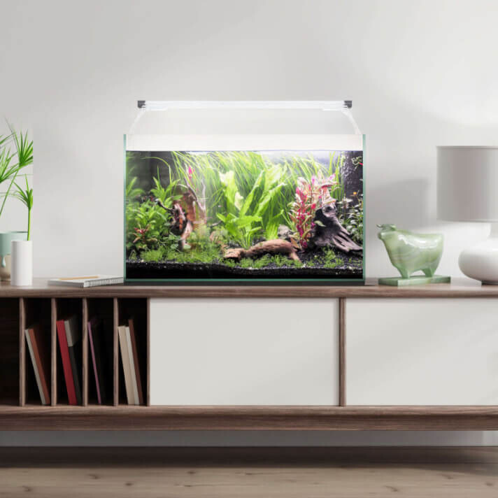 Kit AQUA LIGHT Glass 70 (61 l)